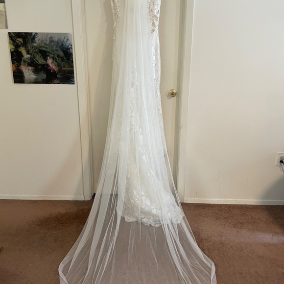 Pronovias RUA Wedding Gown: professionally cleaned,mermaid, sheer back. Size 12 - Picture 15 of 15